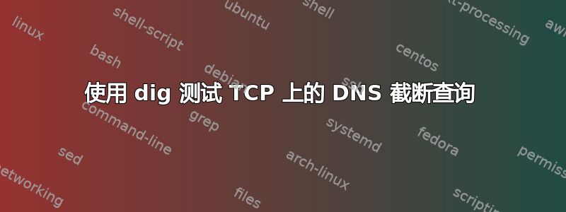 使用 dig 测试 TCP 上的 DNS 截断查询