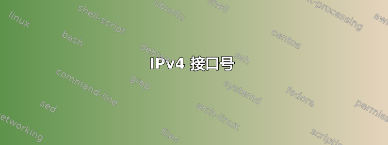 IPv4 接口号