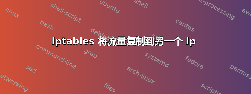 iptables 将流量复制到另一个 ip