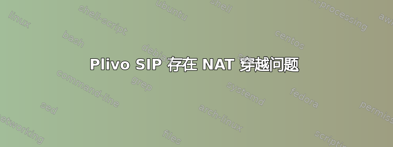 Plivo SIP 存在 NAT 穿越问题