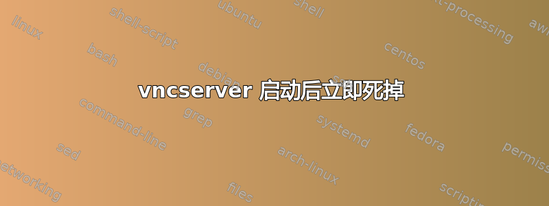 vncserver 启动后立即死掉