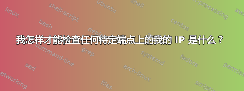 我怎样才能检查任何特定端点上的我的 IP 是什么？