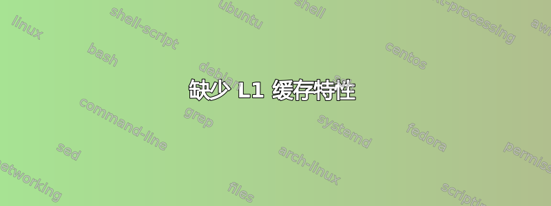 缺少 L1 缓存特性