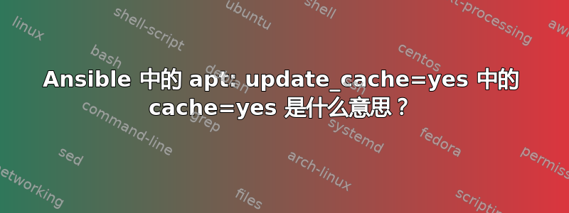 Ansible 中的 apt: update_cache=yes 中的 cache=yes 是什么意思？