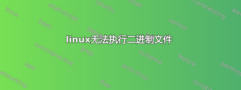 linux无法执行二进制文件