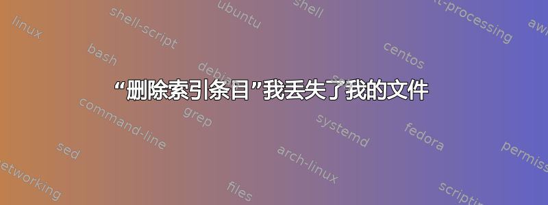 “删除索引条目”我丢失了我的文件