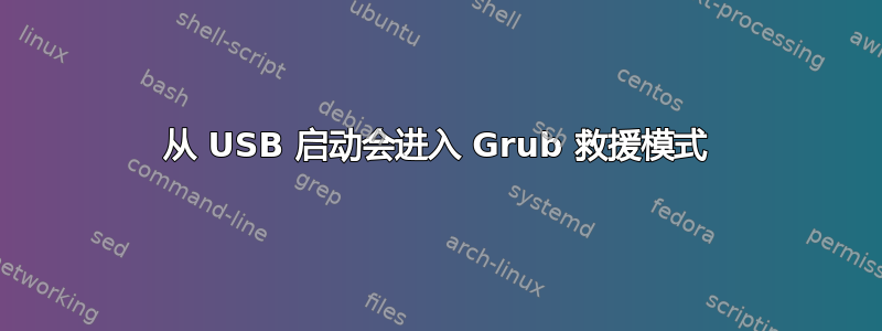 从 USB 启动会进入 Grub 救援模式