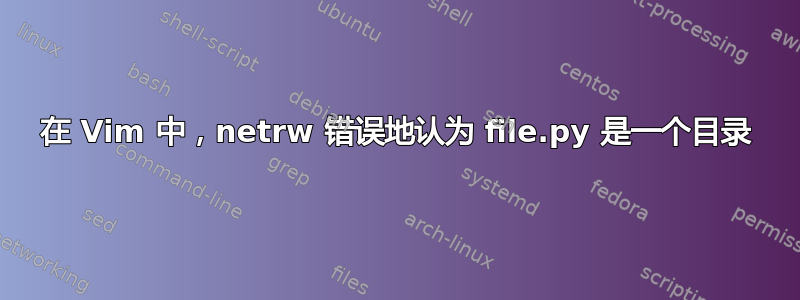 在 Vim 中，netrw 错误地认为 file.py 是一个目录