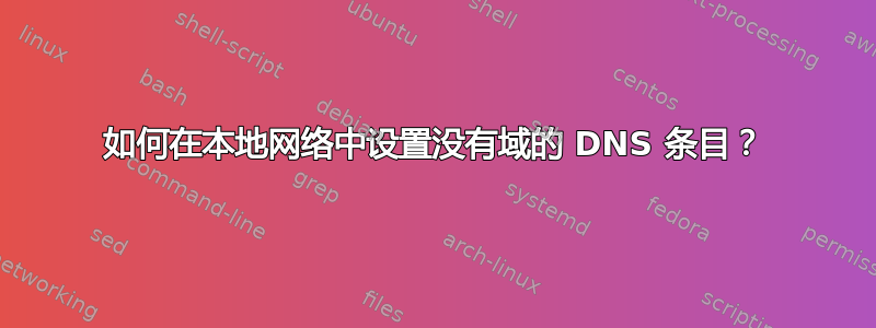 如何在本地网络中设置没有域的 DNS 条目？