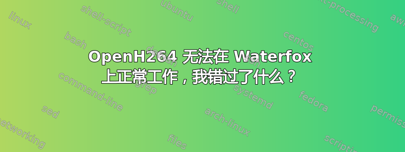 OpenH264 无法在 Waterfox 上正常工作，我错过了什么？