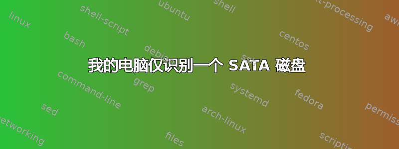 我的电脑仅识别一个 SATA 磁盘