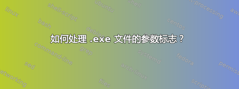 如何处理 .exe 文件的参数标志？