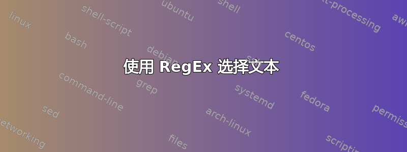 使用 RegEx 选择文本