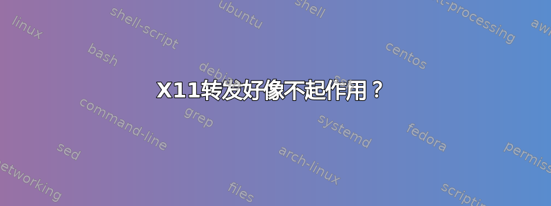 X11转发好像不起作用？