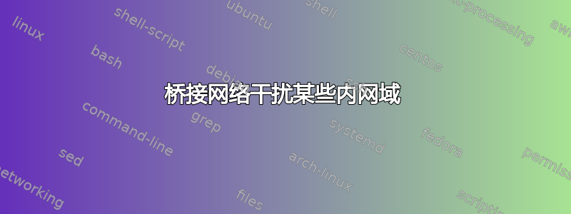 桥接网络干扰某些内网域