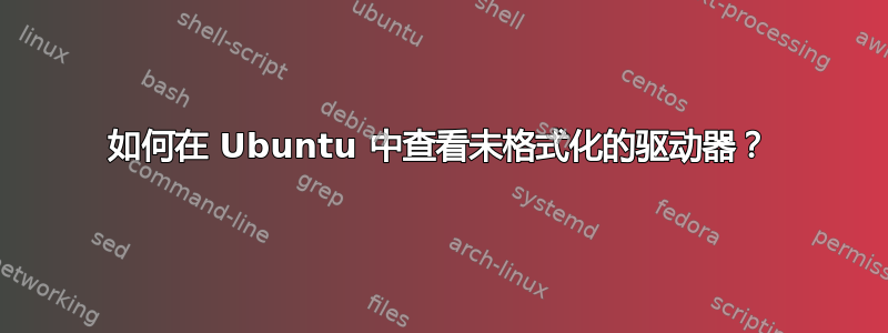 如何在 Ubuntu 中查看未格式化的驱动器？