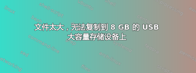 文件太大，无法复制到 8 GB 的 USB 大容量存储设备上