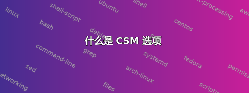 什么是 CSM 选项