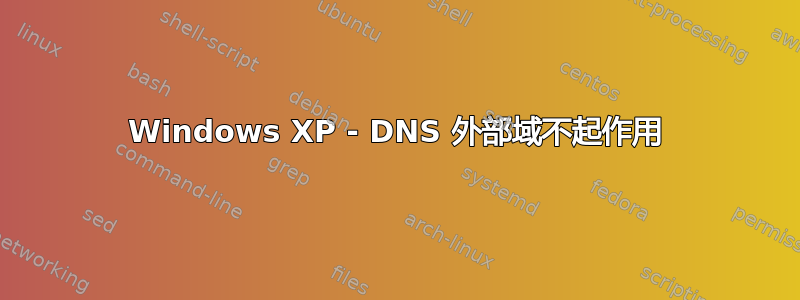 Windows XP - DNS 外部域不起作用