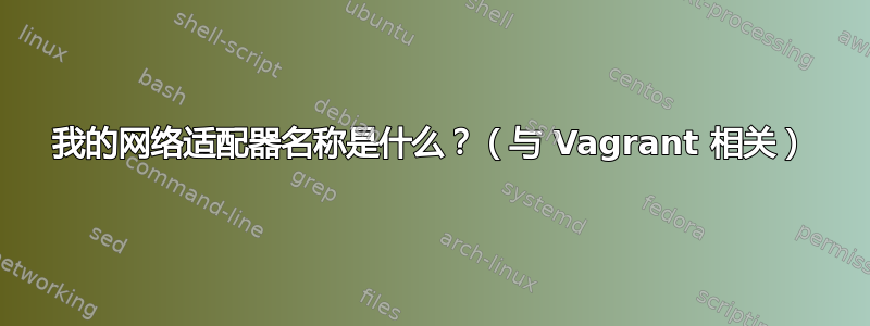 我的网络适配器名称是什么？（与 Vagrant 相关）