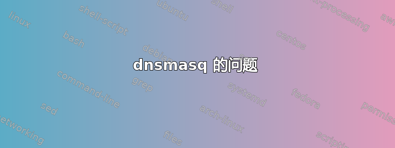 dnsmasq 的问题