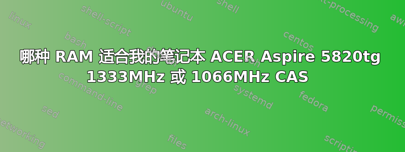 哪种 RAM 适合我的笔记本 ACER Aspire 5820tg 1333MHz 或 1066MHz CAS 