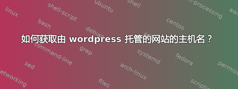 如何获取由 wordpress 托管的网站的主机名？