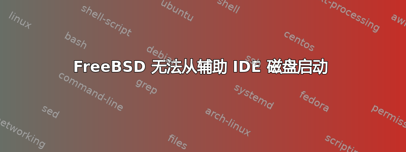 FreeBSD 无法从辅助 IDE 磁盘启动