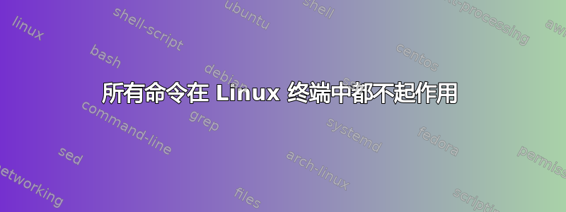 所有命令在 Linux 终端中都不起作用