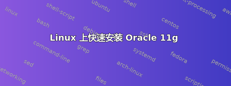 Linux 上快速安装 Oracle 11g