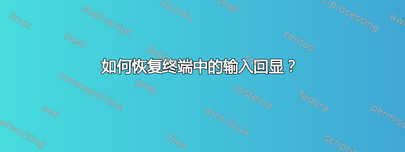 如何恢复终端中的输入回显？