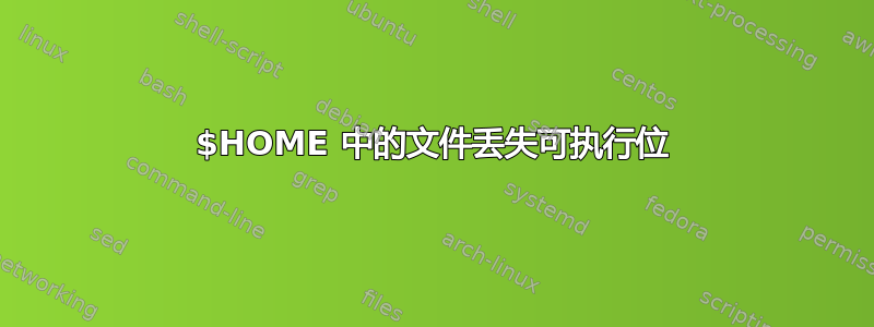 $HOME 中的文件丢失可执行位