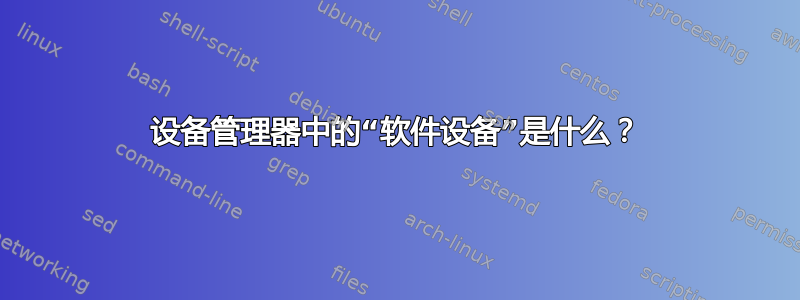 设备管理器中的“软件设备”是什么？