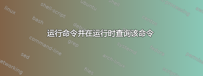 运行命令并在运行时查询该命令