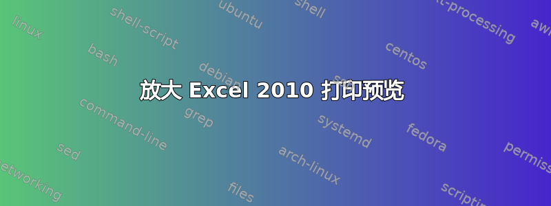 放大 Excel 2010 打印预览