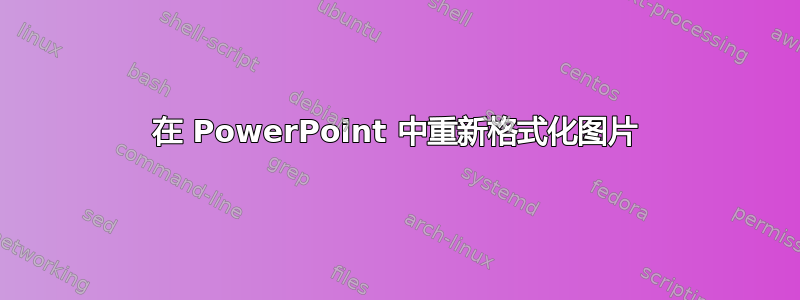 在 PowerPoint 中重新格式化图片