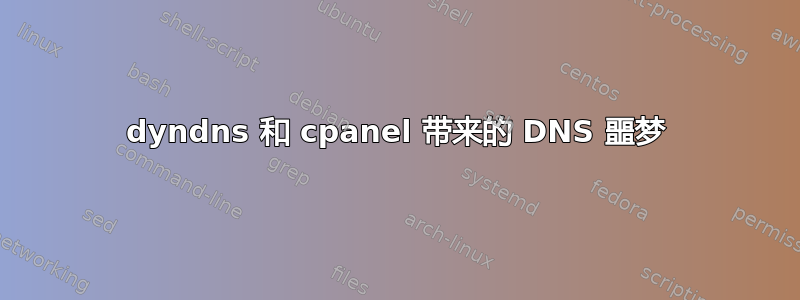 dyndns 和 cpanel 带来的 DNS 噩梦