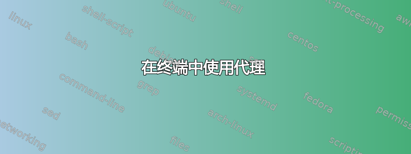 在终端中使用代理