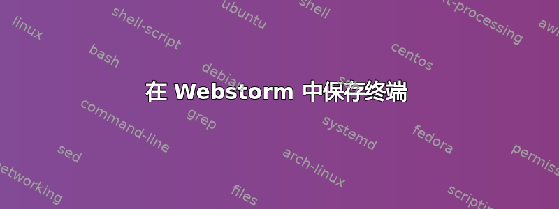 在 Webstorm 中保存终端