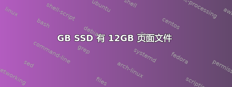 64GB SSD 有 12GB 页面文件