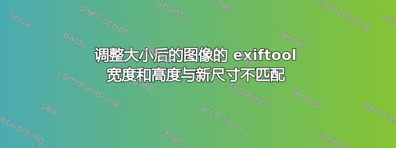 调整大小后的图像的 exiftool 宽度和高度与新尺寸不匹配