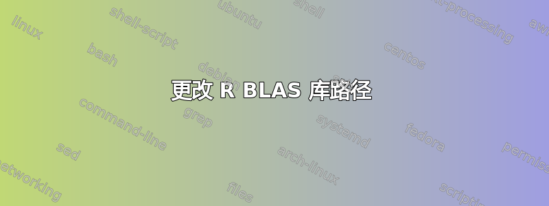 更改 R BLAS 库路径