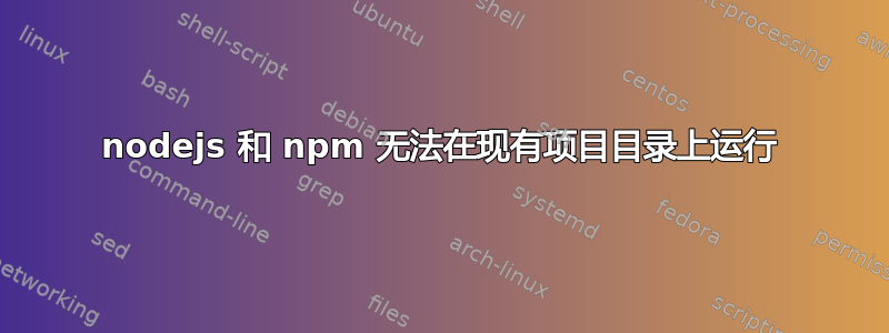 nodejs 和 npm 无法在现有项目目录上运行