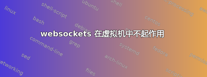 websockets 在虚拟机中不起作用