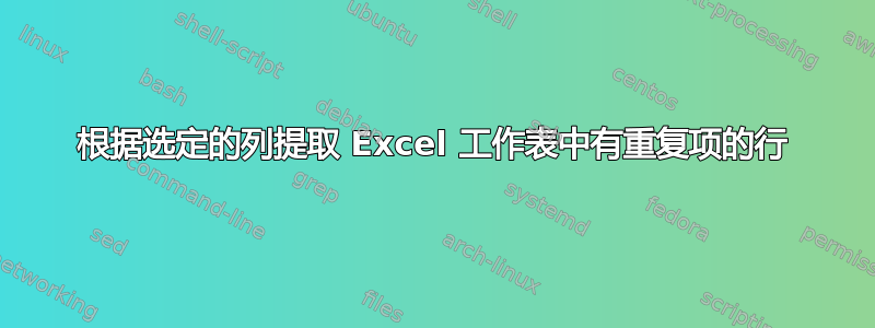 根据选定的列提取 Excel 工作表中有重复项的行