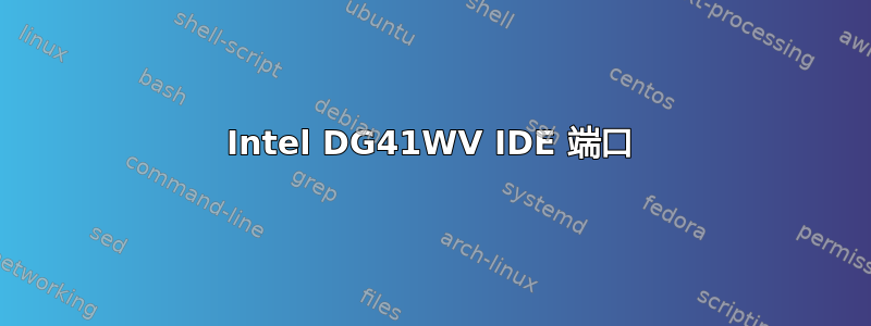 Intel DG41WV IDE 端口