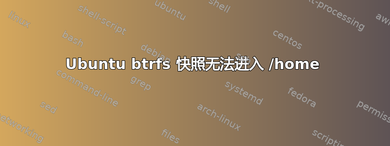 Ubuntu btrfs 快照无法进入 /home