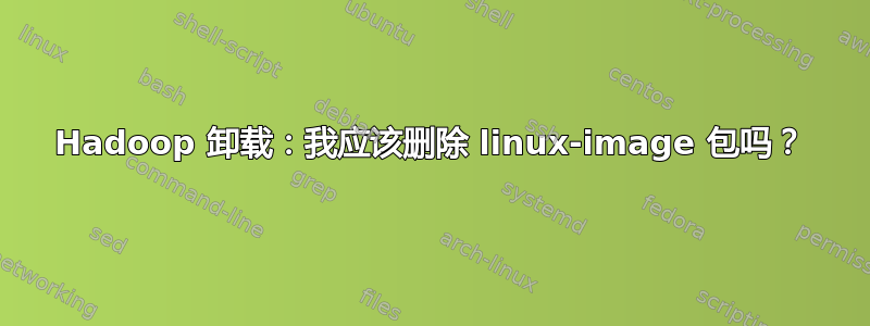 Hadoop 卸载：我应该删除 linux-image 包吗？