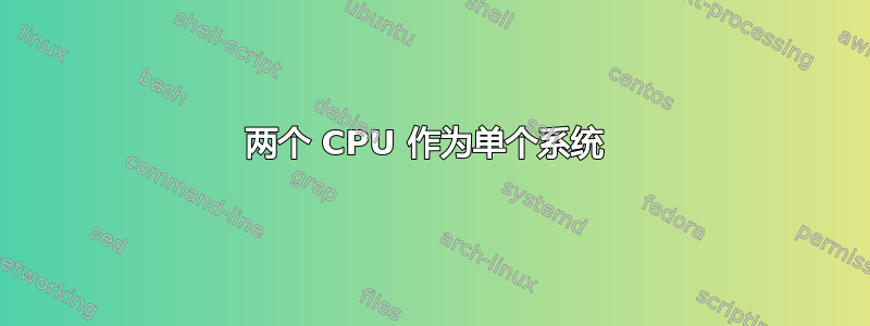 两个 CPU 作为单个系统 