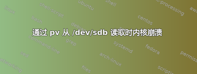 通过 pv 从 /dev/sdb 读取时内核崩溃